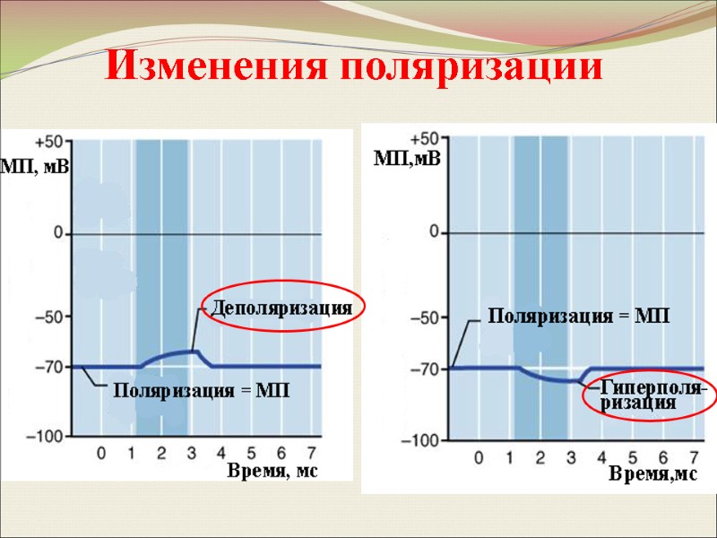 Изменения поляризации